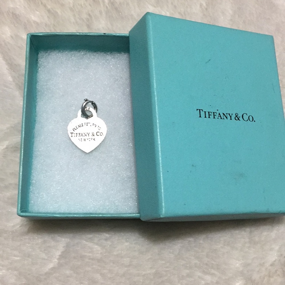 Tiffany &Co.  AUTHENTIC Charm. (With bracelet)